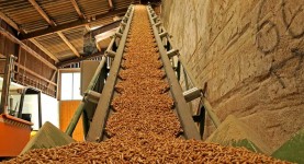 biomass-pellets-source-deutsches-pelletinstitut